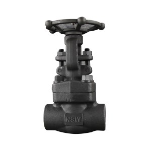 Bolted bonnet Forged Gate Valve