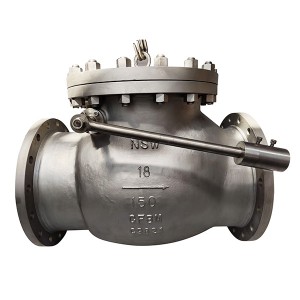 Heavy hammer check valve