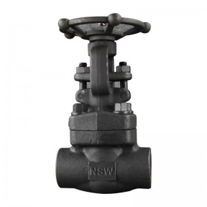 API 602 gate valve