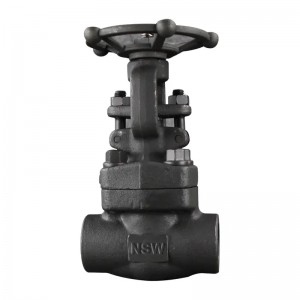 Forged Steel Gate Valve