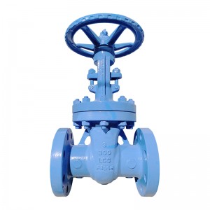 LCC Gate Valve