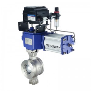 Segment Ball Valve