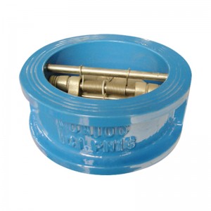 Dual Plate Check Valve